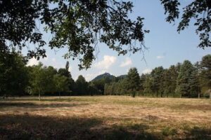 Blick auf den Drachenfels.