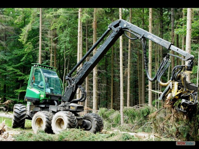 Verstecktes Klosterareal und Kriegsschäden im Baum