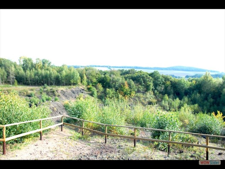 Exkursion: Tuff aus Weibern