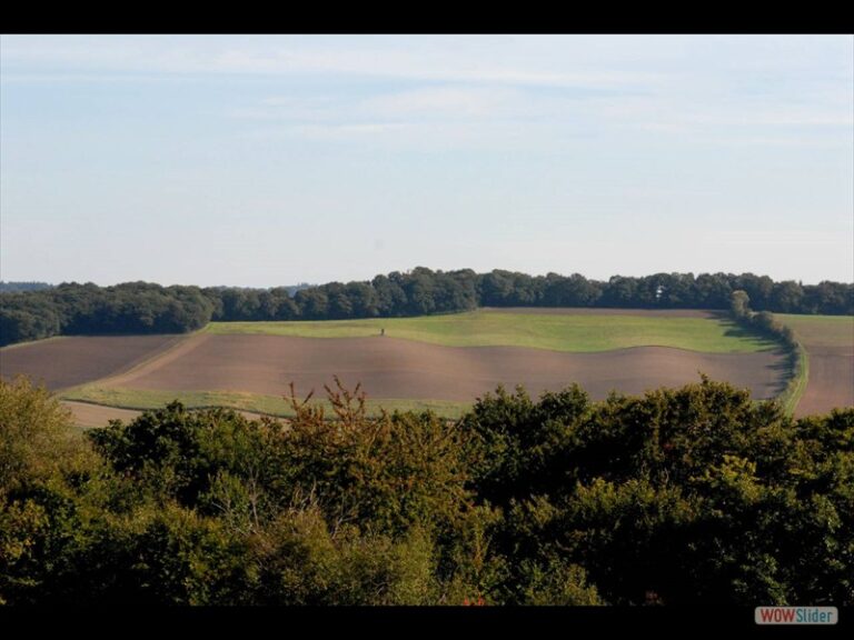 Exkursion: Tuff aus Weibern