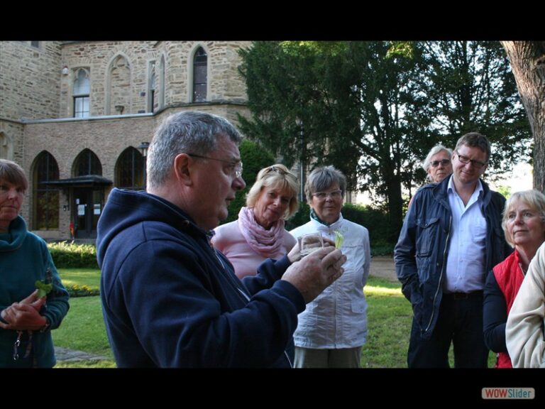 Kräutervielfalt  im Garten rund um das Schloss