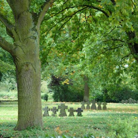 Das Elend der Kriegsgefangenen und die Ursachen