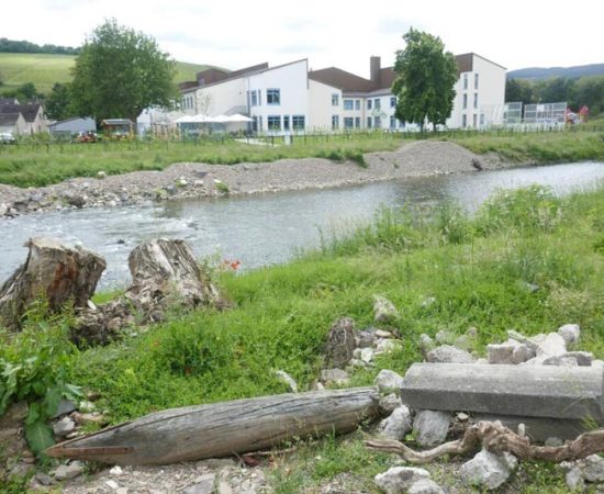 Archäologische Funde freigelegt