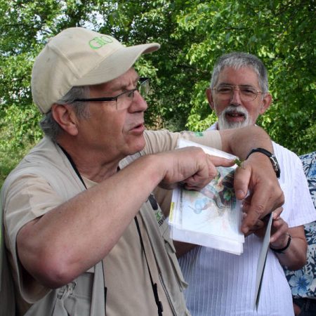 Grüner Hüpfer gesichtet