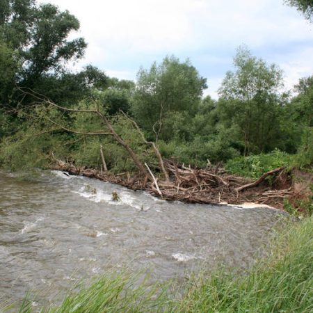 Auf kürzester Strecke zeigt die renaturierte Ahr stets ein ungemein wandelbares Gesicht.