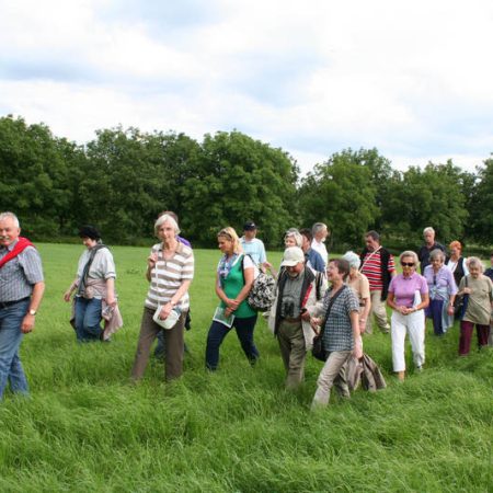 Bei herrlichem Sommerwetter wurde der Rundgang zur Genusswanderung.